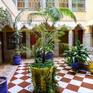 Faouzi Marrakesch